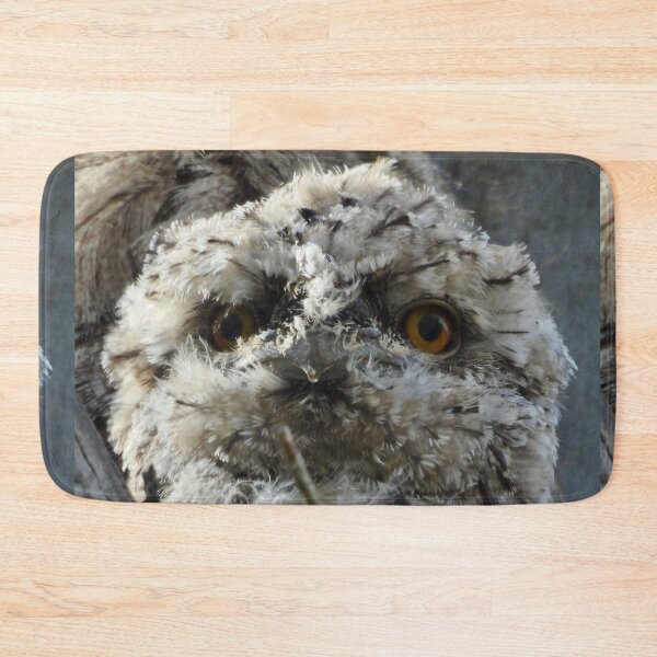 Item preview,  Cute Tawny Frogmouth young second image designed and sold by Mark Grimsley.