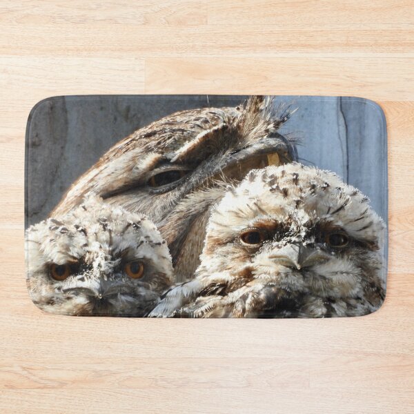Item preview, Tawny Frogmouth dad and 2young designed and sold by Mark Grimsley.