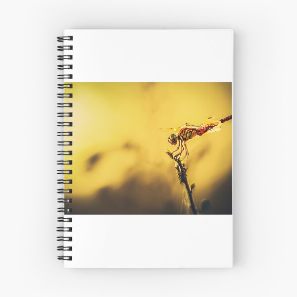 Item preview, Dragonfly  designed and sold by Manan9321.