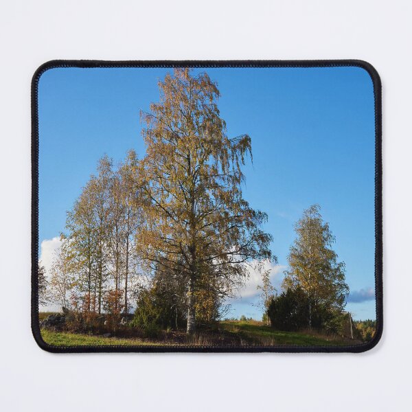 Item preview, Under the blue September sky.. Parkkuu 2024 designed and sold by Jouko Lehto Photography.
