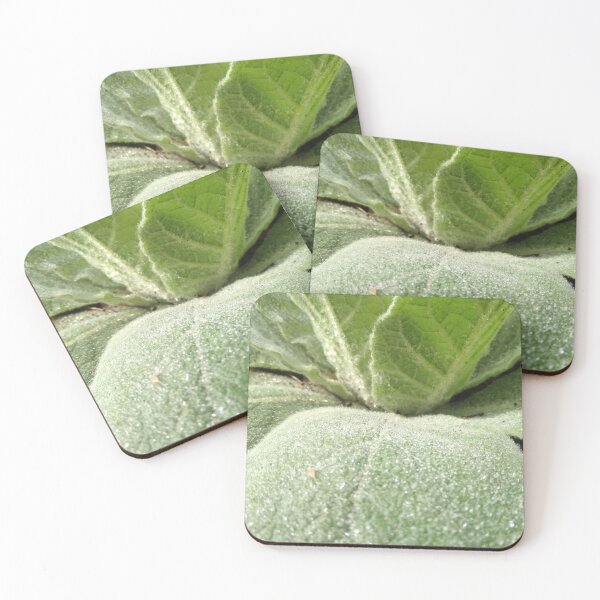 Item preview, Mullein plant  designed and sold by Crispaytaco.