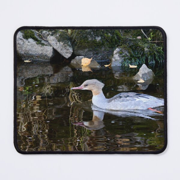 Item preview, Left way. Goosander designed and sold by Jouko Lehto Photography.