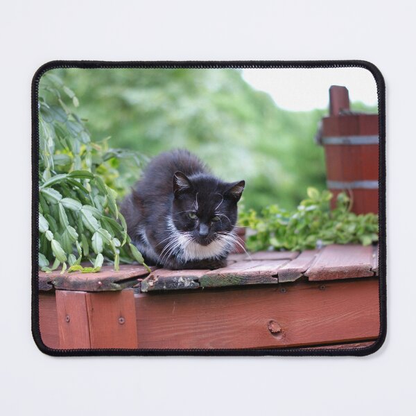 Item preview, Sleeping black cat sitting on a well designed and sold by mikistudio.