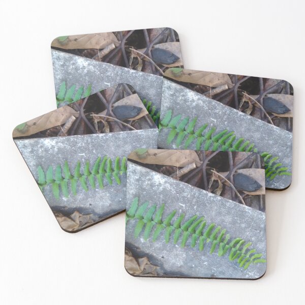 Item preview, Fern leaf designed and sold by Crispaytaco.