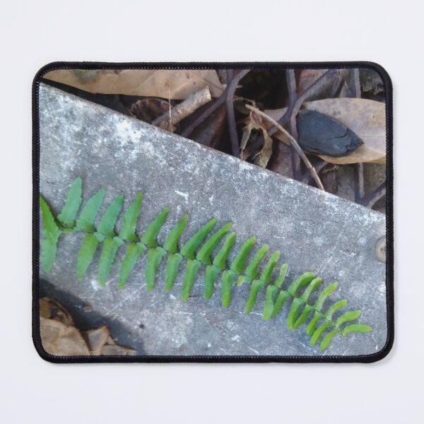 Item preview, Fern leaf designed and sold by Crispaytaco.
