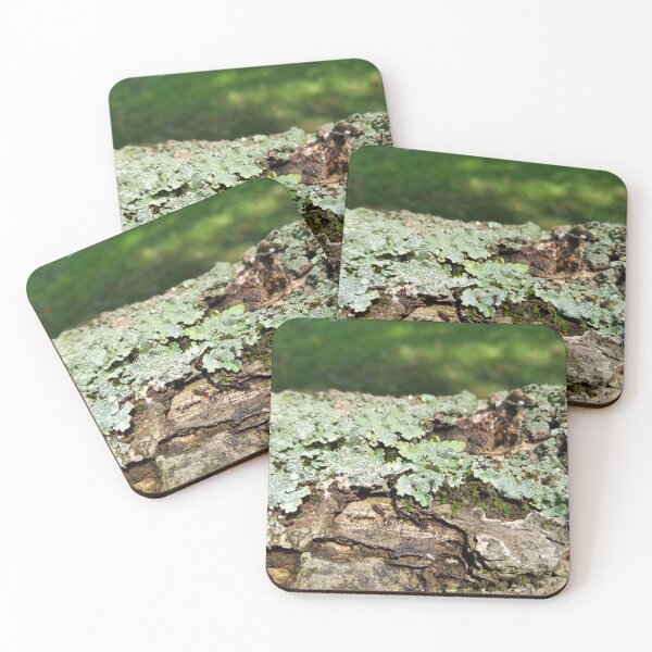 Item preview, Lichen on a log designed and sold by Crispaytaco.