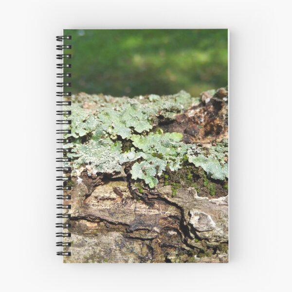 Item preview, Lichen on a log designed and sold by Crispaytaco.