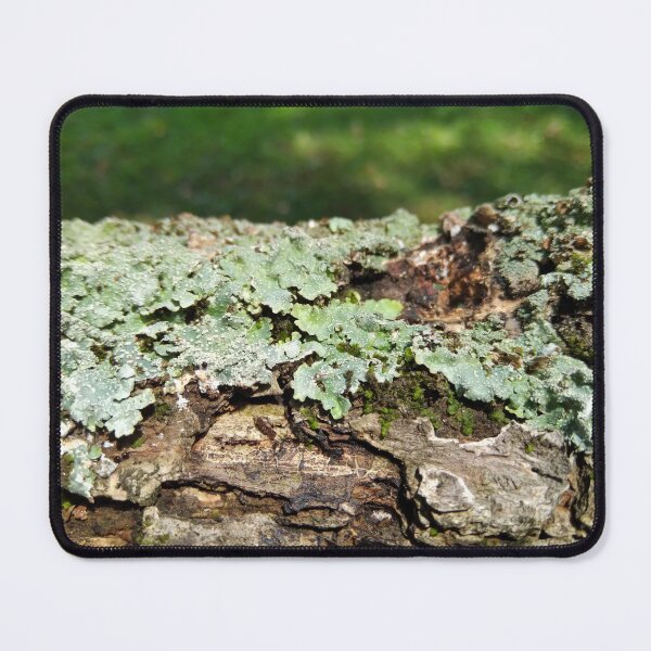 Item preview, Lichen on a log designed and sold by Crispaytaco.