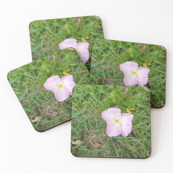 Item preview, Pinkladies Evening Primrose  designed and sold by Crispaytaco.