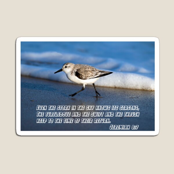 Item preview, The birds knows their ways jeremi@h 8:7 designed and sold by Alpha-capital.