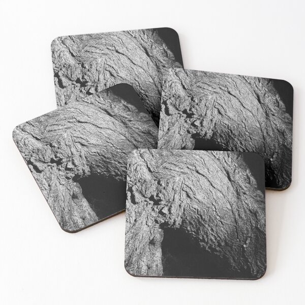 Item preview, Bark Detail III designed and sold by Eidetic Photos.