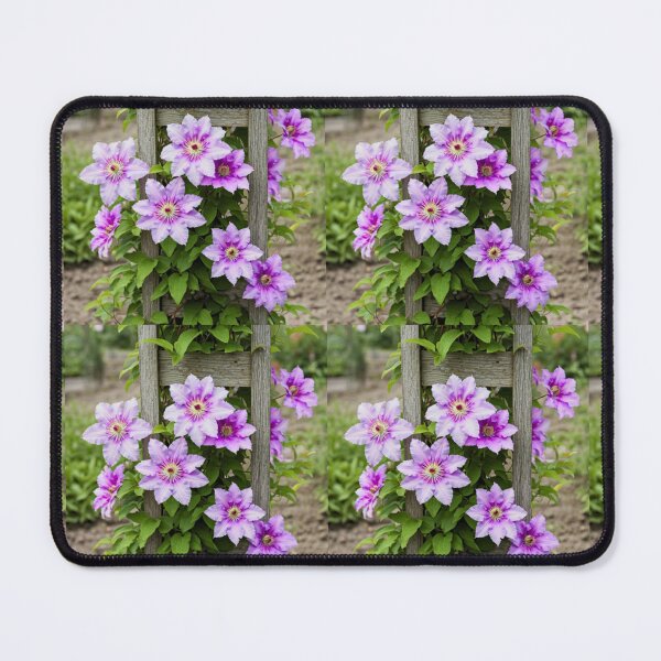 Item preview, Chalk: Clematis ☷ designed and sold by MIIKE DESIGN.