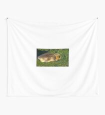 17 Days Old And Counting Wall Tapestry