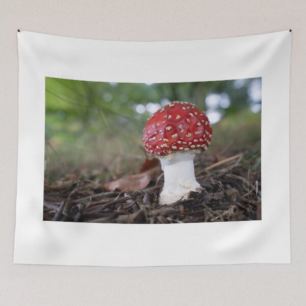 Artikelvorschau, Amanita Muscaria Pilz Herbst Symbol entworfen und verkauft von MichaelBShannon.