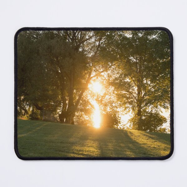 Item preview, Lakeside Treeline Sunshine designed and sold by Georgia Mizuleva.
