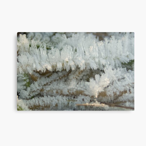 Fascinating Ice crystals 6 Metal Print