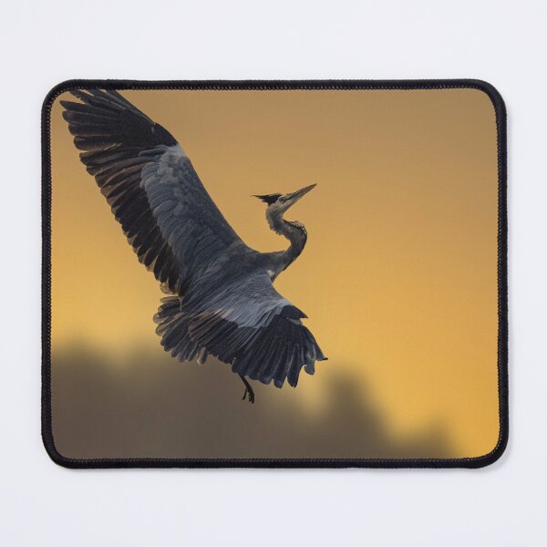 Item preview, Heron at sunset,flying designed and sold by kathleenjean.