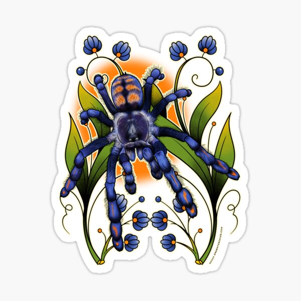 Item preview, Venezuelan Suntiger Tarantula designed and sold by drawntoscales.