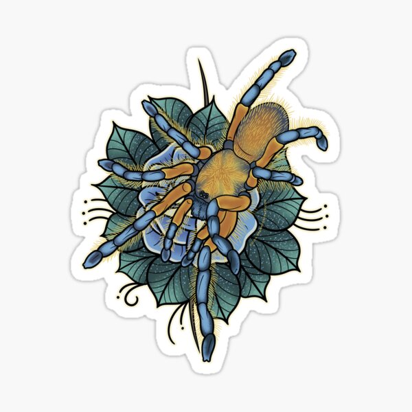 Item preview, Golden Blue-legged Baboon Tarantula designed and sold by drawntoscales.