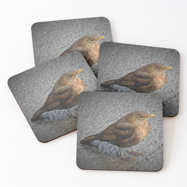 Item preview, BEAUTIFUL MRS B designed and sold by NatureWatch10.