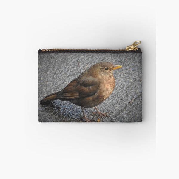 Item preview, BEAUTIFUL MRS B designed and sold by NatureWatch10.