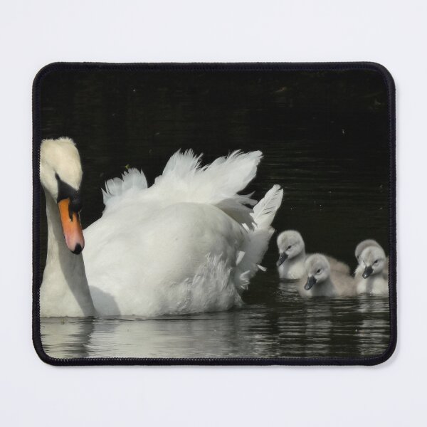 Item preview, ADDICTED TO CYGGIES 2 designed and sold by NatureWatch10.