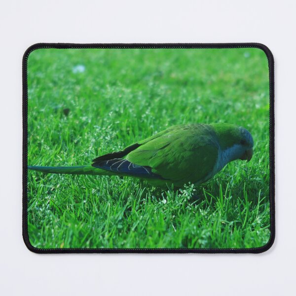 Item preview, Green Parakeet on Green Lawn designed and sold by KaSaPo.