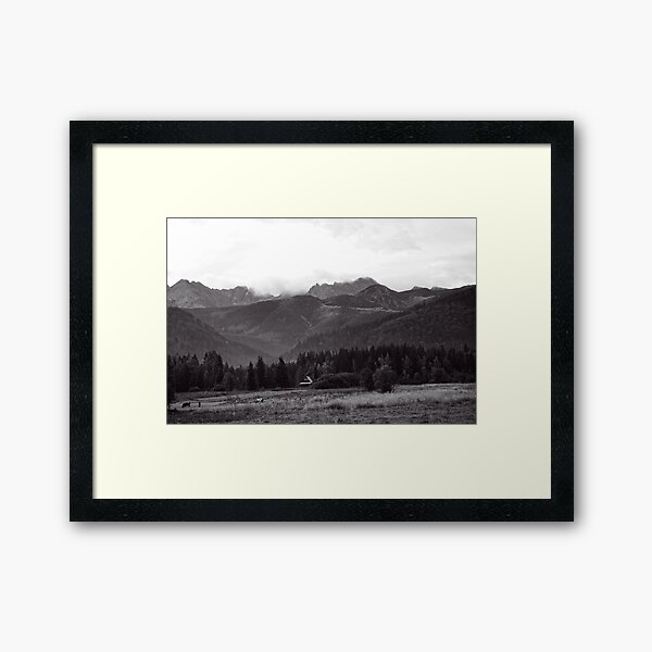 Framed Art Print