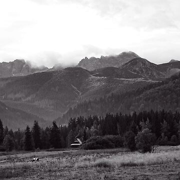 Artwork thumbnail, Hight Tatras - Pardałówka - Tatra Mountains - Poland - SELLENNIUM by SimonSW
