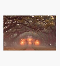 Oak Alley Plantation Photographic Print