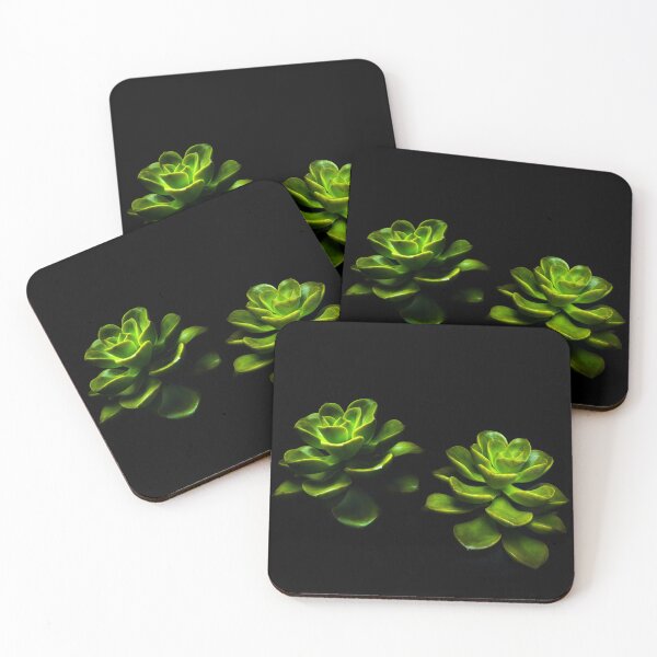 Item preview, Echeveria Melaco designed and sold by Satakorn.