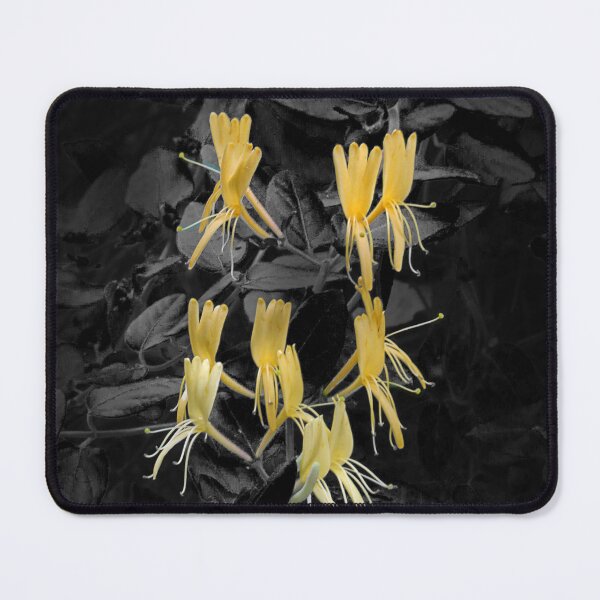 Item preview, Honeysuckle. designed and sold by Paul Pasco.
