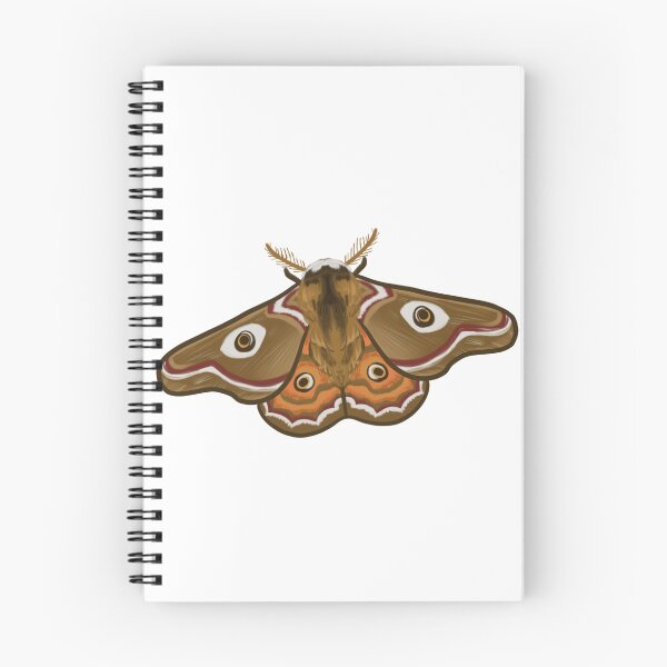 Item preview, Small Emperor Moth designed and sold by -bonesboy-.