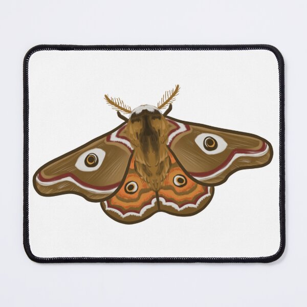 Item preview, Small Emperor Moth designed and sold by -bonesboy-.