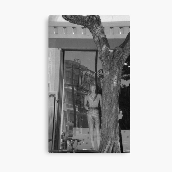 Show Window Canvas Print