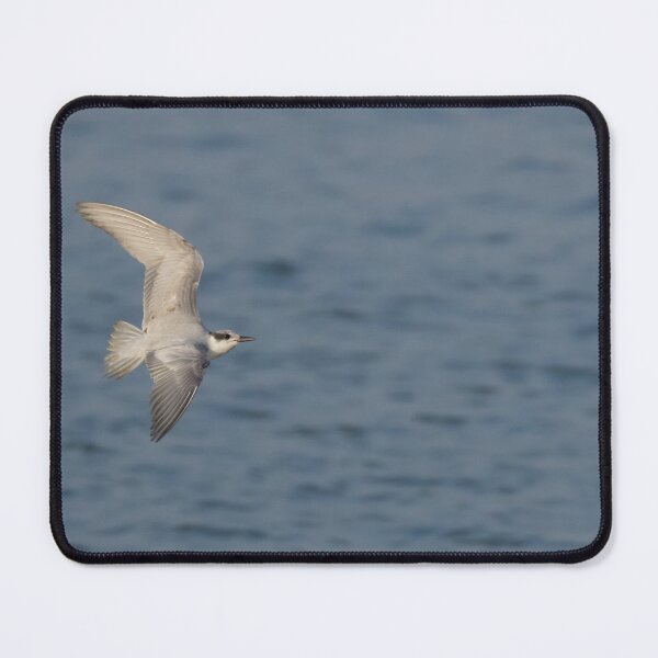 Item preview, Whiskered Tern designed and sold by LaurenTucker.