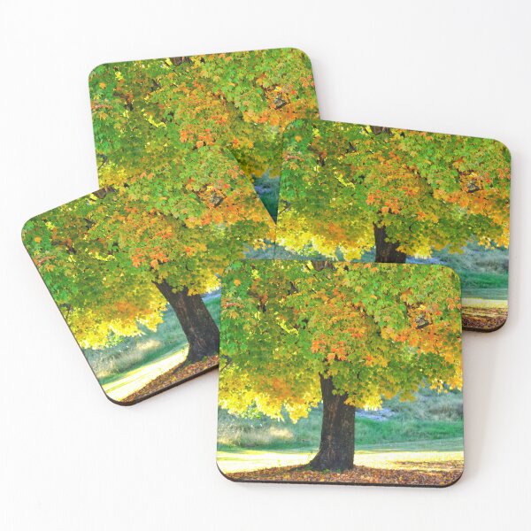 Item preview, Autumn large tree designed and sold by InezPhotography.