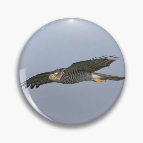 Item preview, Sparrowhawk designed and sold by LaurenTucker.
