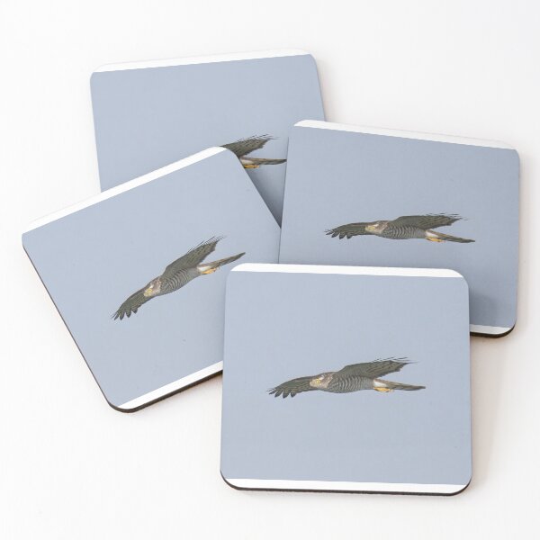 Item preview, Sparrowhawk designed and sold by LaurenTucker.