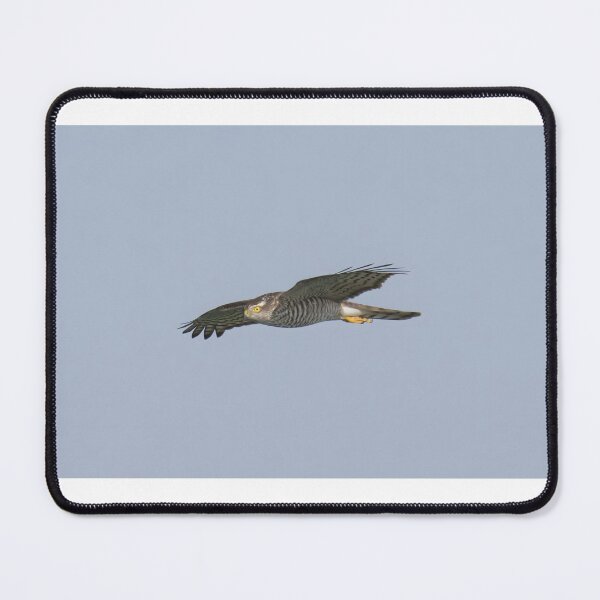 Item preview, Sparrowhawk designed and sold by LaurenTucker.
