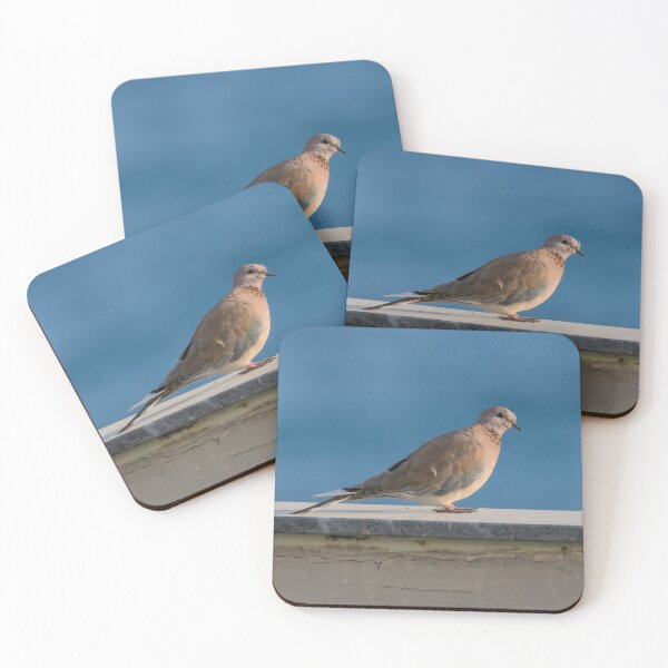 Item preview, Laughing Dove designed and sold by LaurenTucker.