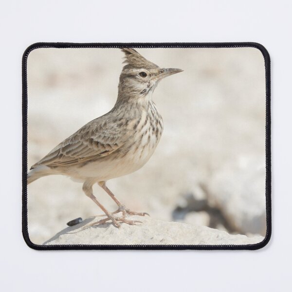 Item preview, Crested Lark designed and sold by LaurenTucker.