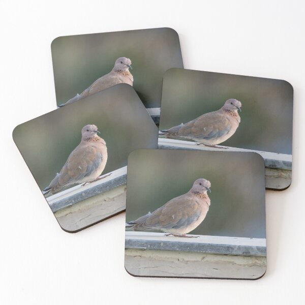 Item preview, Laughing Dove designed and sold by LaurenTucker.