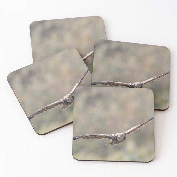Item preview, Marsh Harrier designed and sold by LaurenTucker.