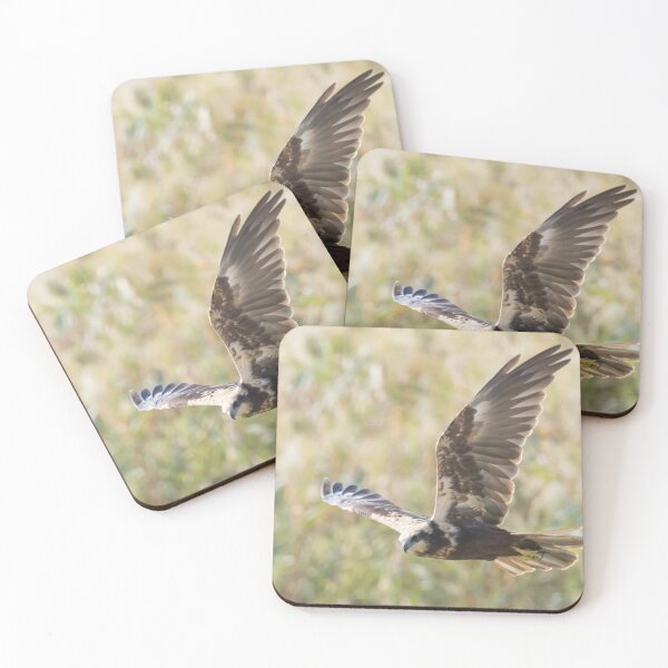 Item preview, Marsh Harrier designed and sold by LaurenTucker.