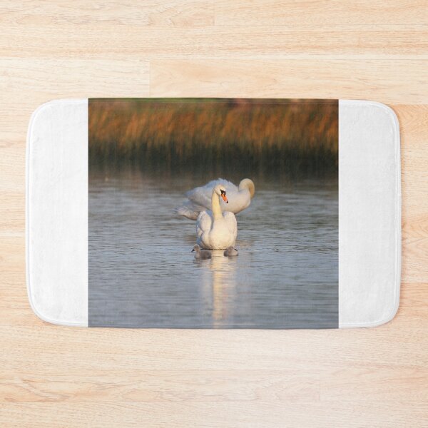 Item preview, Swan family with cygnets  designed and sold by PhotosByHung.