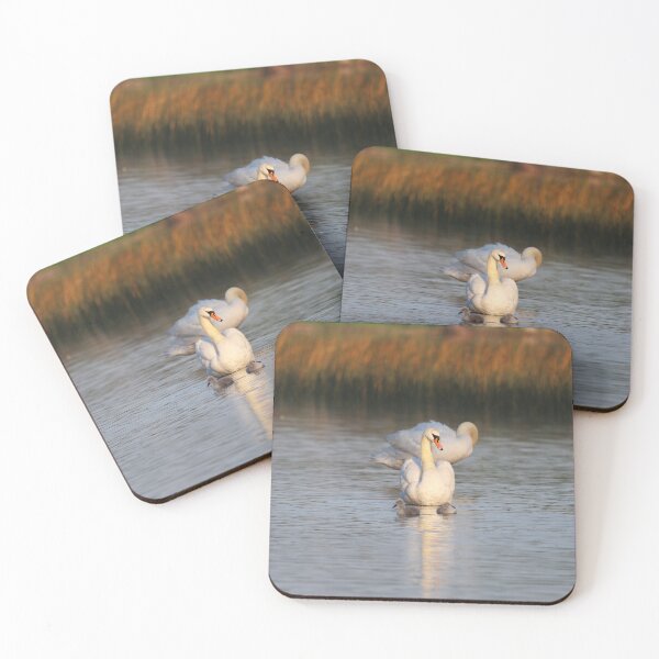 Item preview, Familia de cisnes con pichones designed and sold by PhotosByHung.
