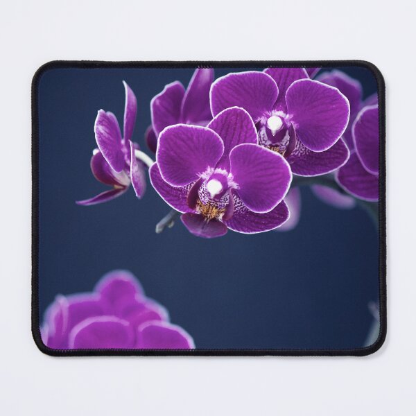 Item preview, Orchid designed and sold by Kenziewenze.