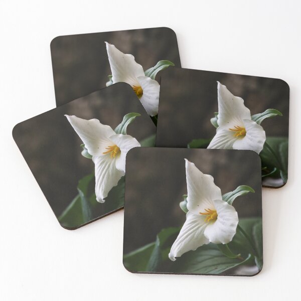 Item preview, Trillium at Lemoine Point designed and sold by PhotosByHung.