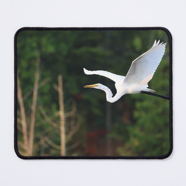 Item preview, Great Egret in flight designed and sold by PhotosByHung.